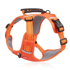 No Pull Dog Walking Harness