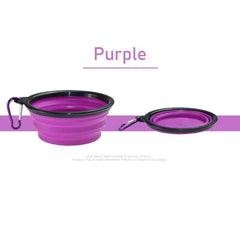 Pet Water and Food Bowl