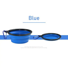 Pet Water and Food Bowl