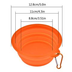 Pet Water and Food Bowl