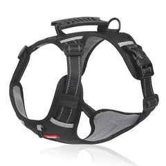 No Pull Dog Walking Harness