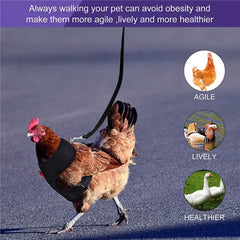 Chicken duck Goose Harness with Leash Adjustable Chicken Leash for Hens Duck Puppy Breathable Comfortable Pet Harness 3 Sizes Y5GB